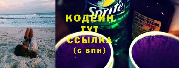 шишки Инсар