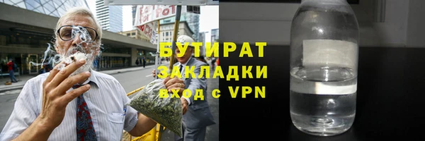 шишки Инсар