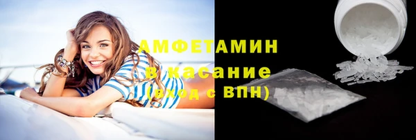 шишки Инсар