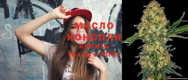шишки Инсар
