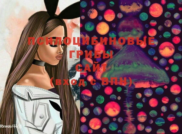 шишки Инсар