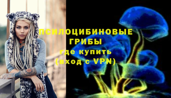 стаф Иннополис
